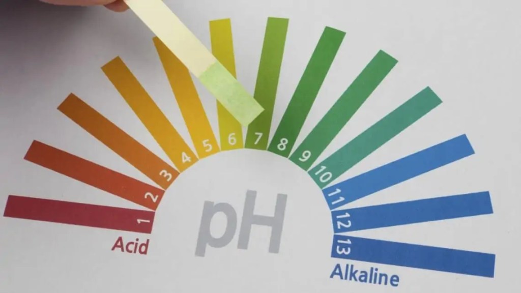 YOUR SKIN HEALTH DEPENDS ON ITS pH LEVEL